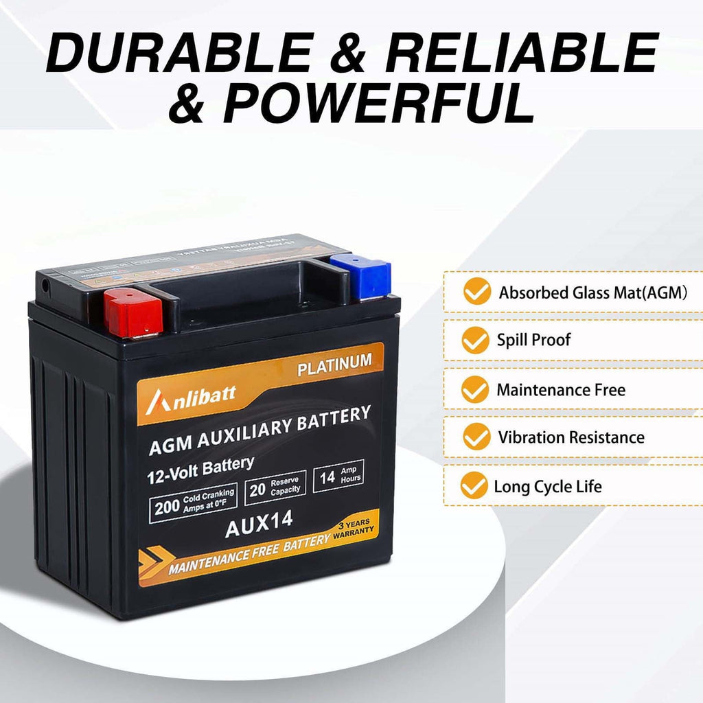 Anlibatt Platinum AGM Group 49 Battery, 12 Volt Rechargeable Automotive Batteries for Car, H8 900CCA 95Ah 160RC