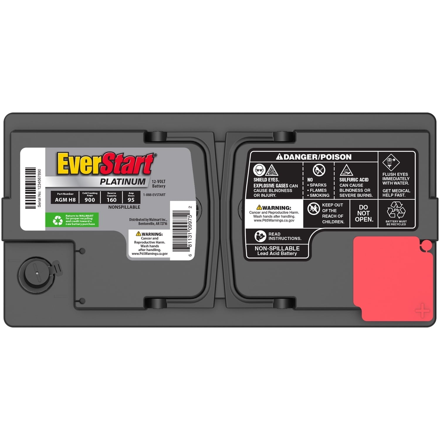 EverStart Platinum BOXED AGM Battery, Group Size H8 / LN5 / 49 12 Volt, 900 CCA